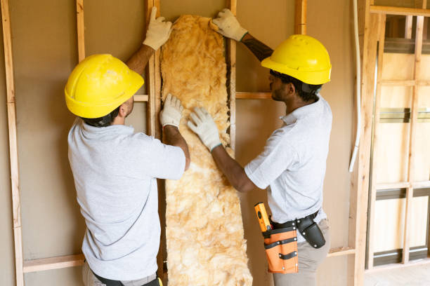 Best Insulation Replacement Services  in Jefferson Hills, PA